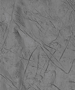 2025.4.12_17.49.25_5447