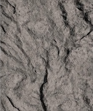 2025.4.12_17.54.11_5844