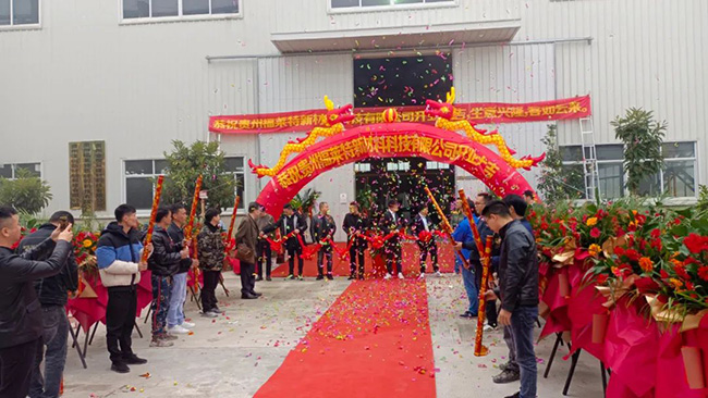 008PG国际(中国区)-官方网站